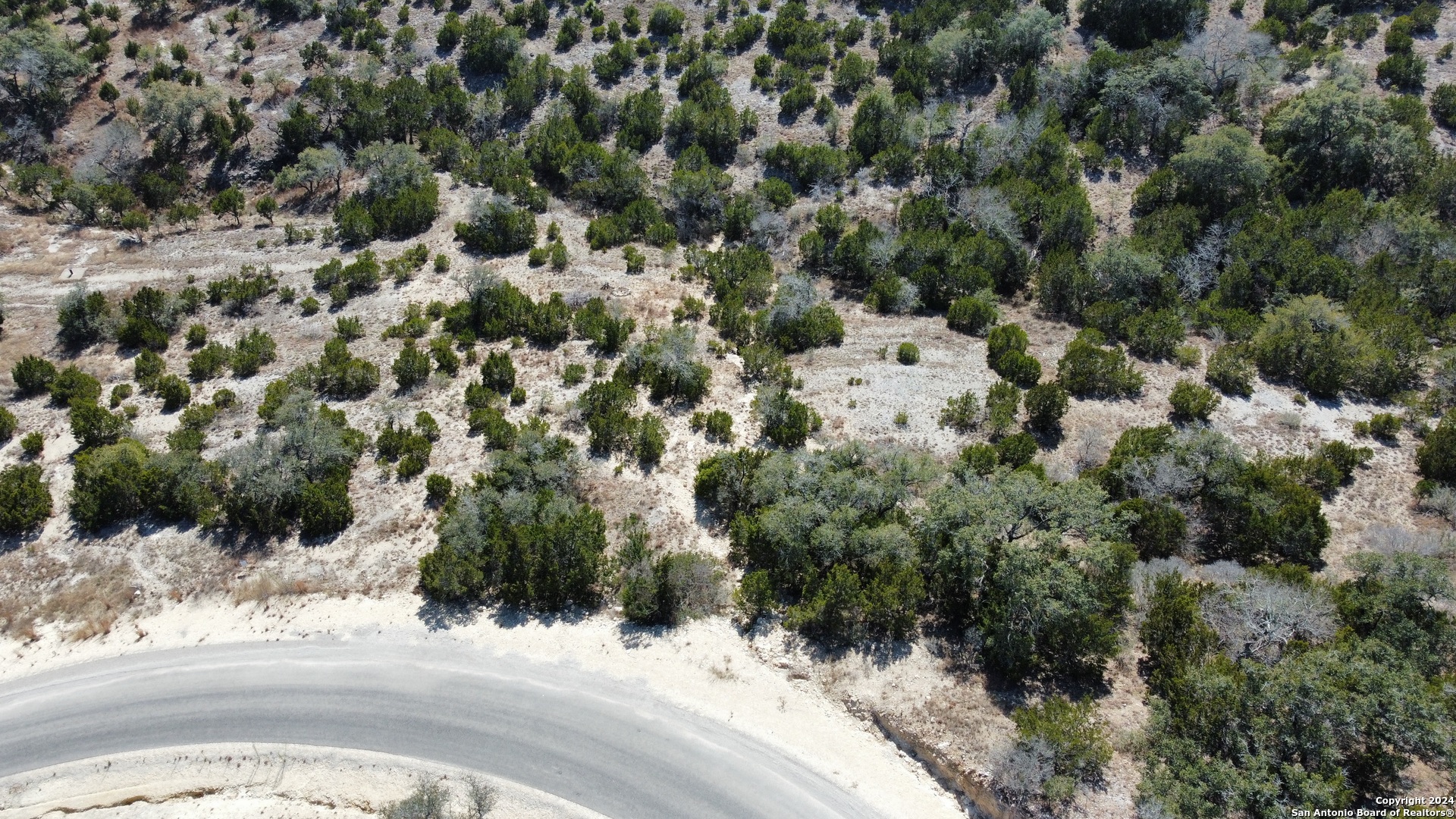 479 Canyon Rim Helotes, TX 78023 - Photo 6 of 40 a view of a bunch of trees