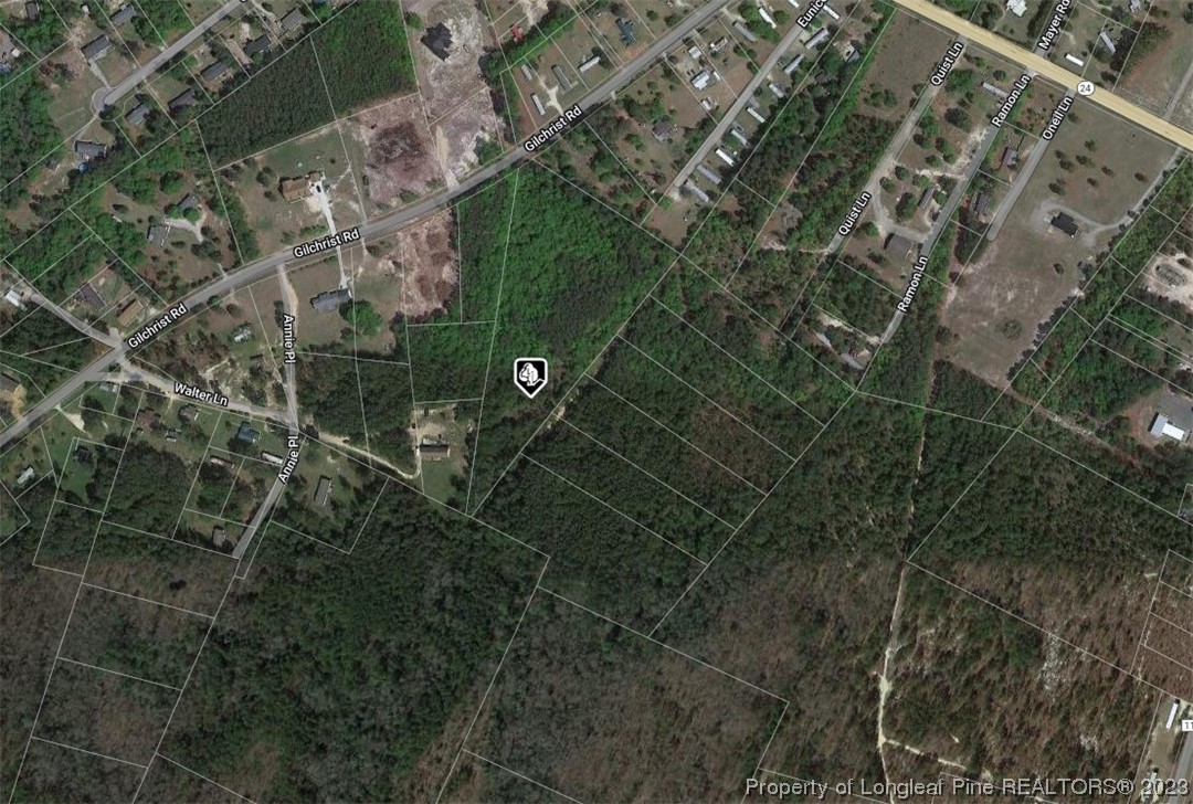 Gilchrist Road Cameron, NC 28326 - Photo 3 of 3 a view of a yard