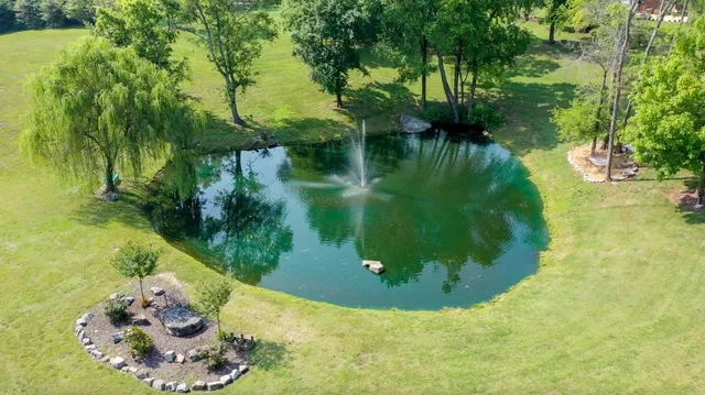 a view of a garden in a yard
