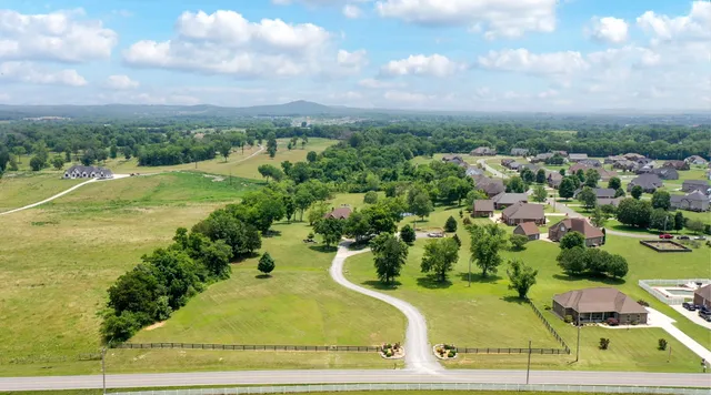 a view of a swimming pool with a yard