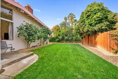 a view of a backyard with a garden and plants