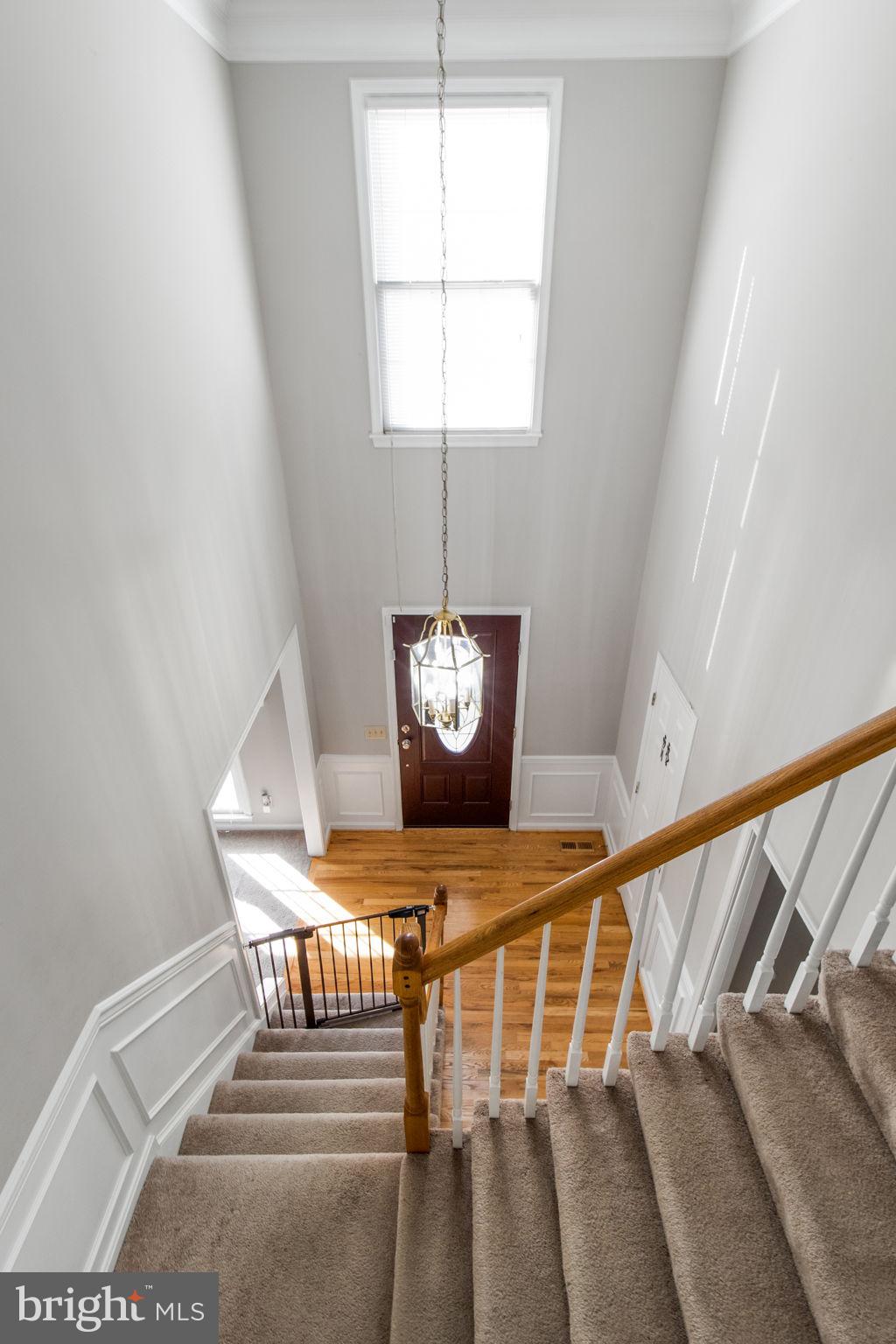 8912 Bovelder Drive Laurel, MD 20708 - Photo 41 of 71 Gallery Image 41