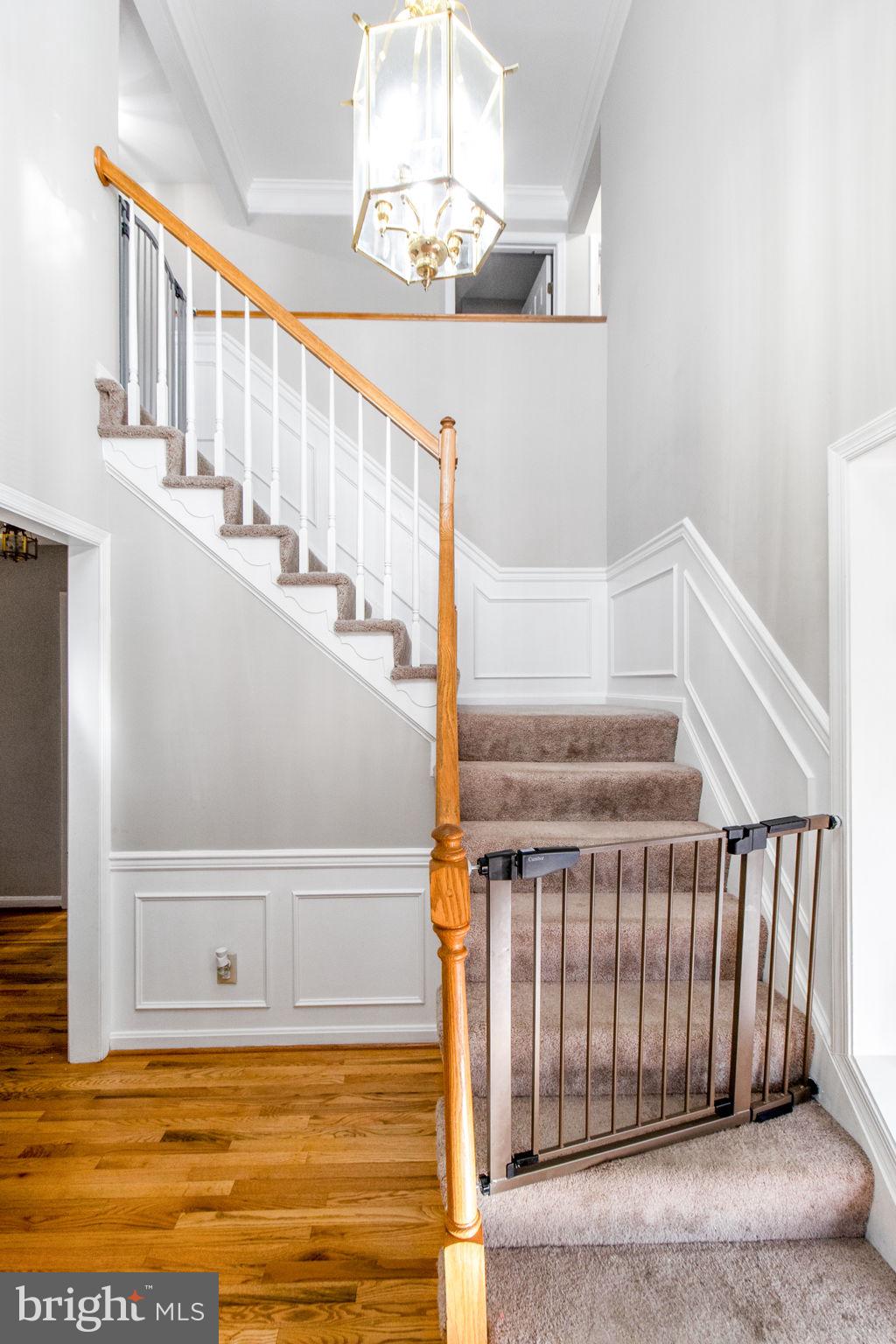 8912 Bovelder Drive Laurel, MD 20708 - Photo 45 of 71 Gallery Image 45