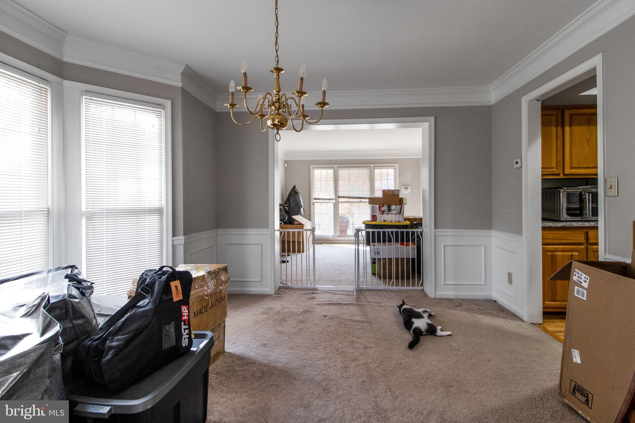 8912 Bovelder Drive Laurel, MD 20708 - Photo 50 of 71 Gallery Image 50