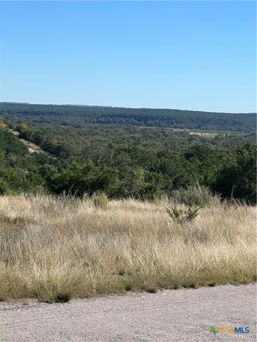 $119,000 | Lot 63 Bluff Rd View, Kempner, TX 76539