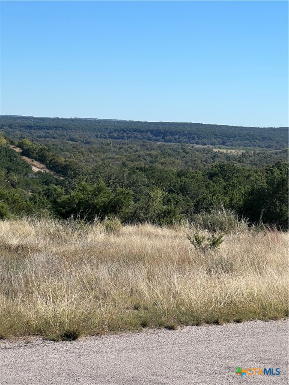 Lot 63 Bluff View Rd View Kempner, TX 76539 - Photo 11 of 19 a view of a lake