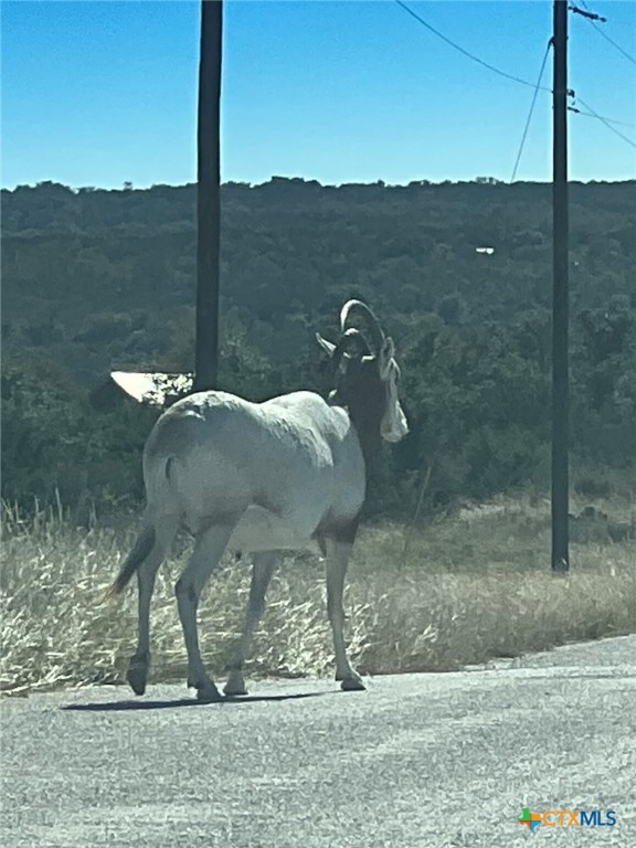 Lot 63 Bluff View Rd View Kempner, TX 76539 - Photo 12 of 19 a view of a terrace