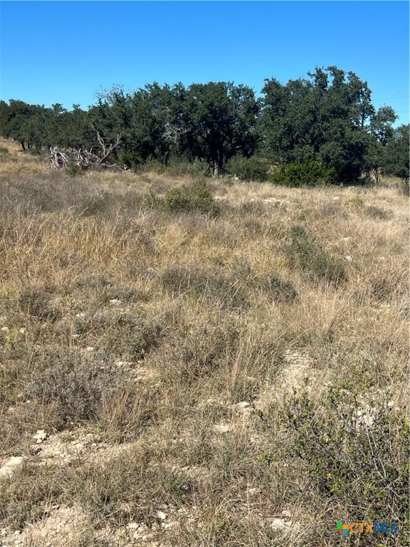 Lot 63 Bluff View Rd View Kempner, TX 76539 - Photo 18 of 19 a view of a lake with trees in the background