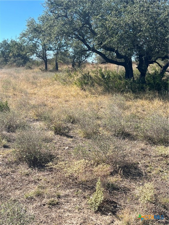 Lot 63 Bluff View Rd View Kempner, TX 76539 - Photo 19 of 19 a view of a yard with a tree