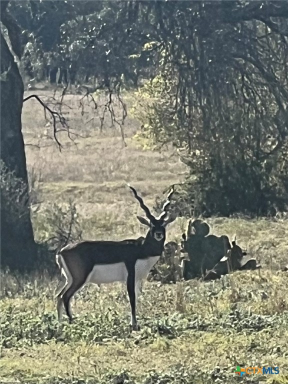 Lot 63 Bluff View Rd View Kempner, TX 76539 - Photo 8 of 19 a vase of water with a glass top table and chair