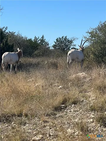 $119,000 | Lot 63 Bluff Rd View, Kempner, TX 76539