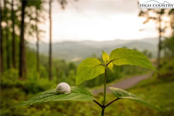 $250,000 | Lot 31 Mount Mitchell Overlook Spruce Pine, Spruce Pine, NC 28777