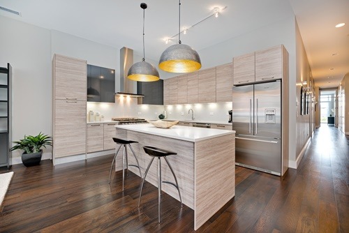 31 North Aberdeen Street, Unit 4S Chicago, IL 60607 - Photo 2 of 4