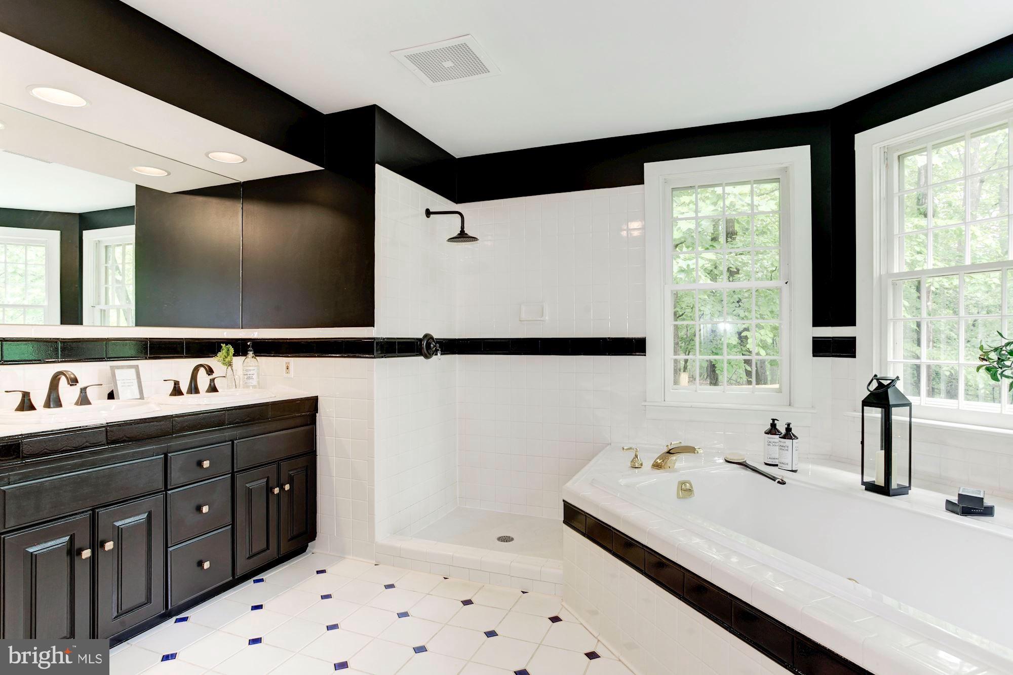 4841 Occoquan Overlook Woodbridge, VA 22192 - Photo 16 of 28 Master Bathroom