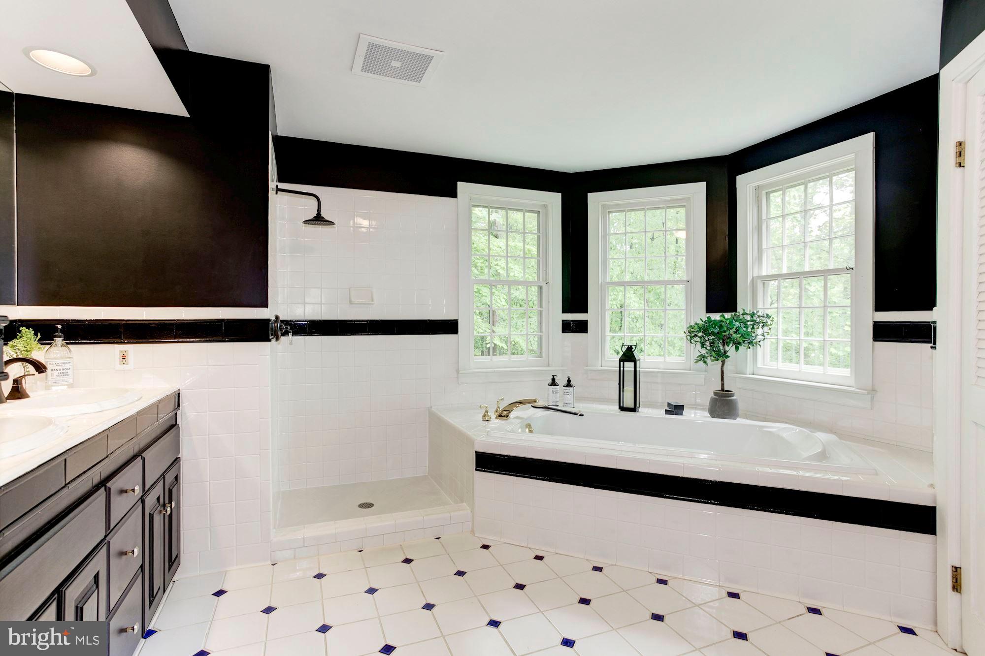 4841 Occoquan Overlook Woodbridge, VA 22192 - Photo 17 of 28 MB with new shower door (coming soon!)