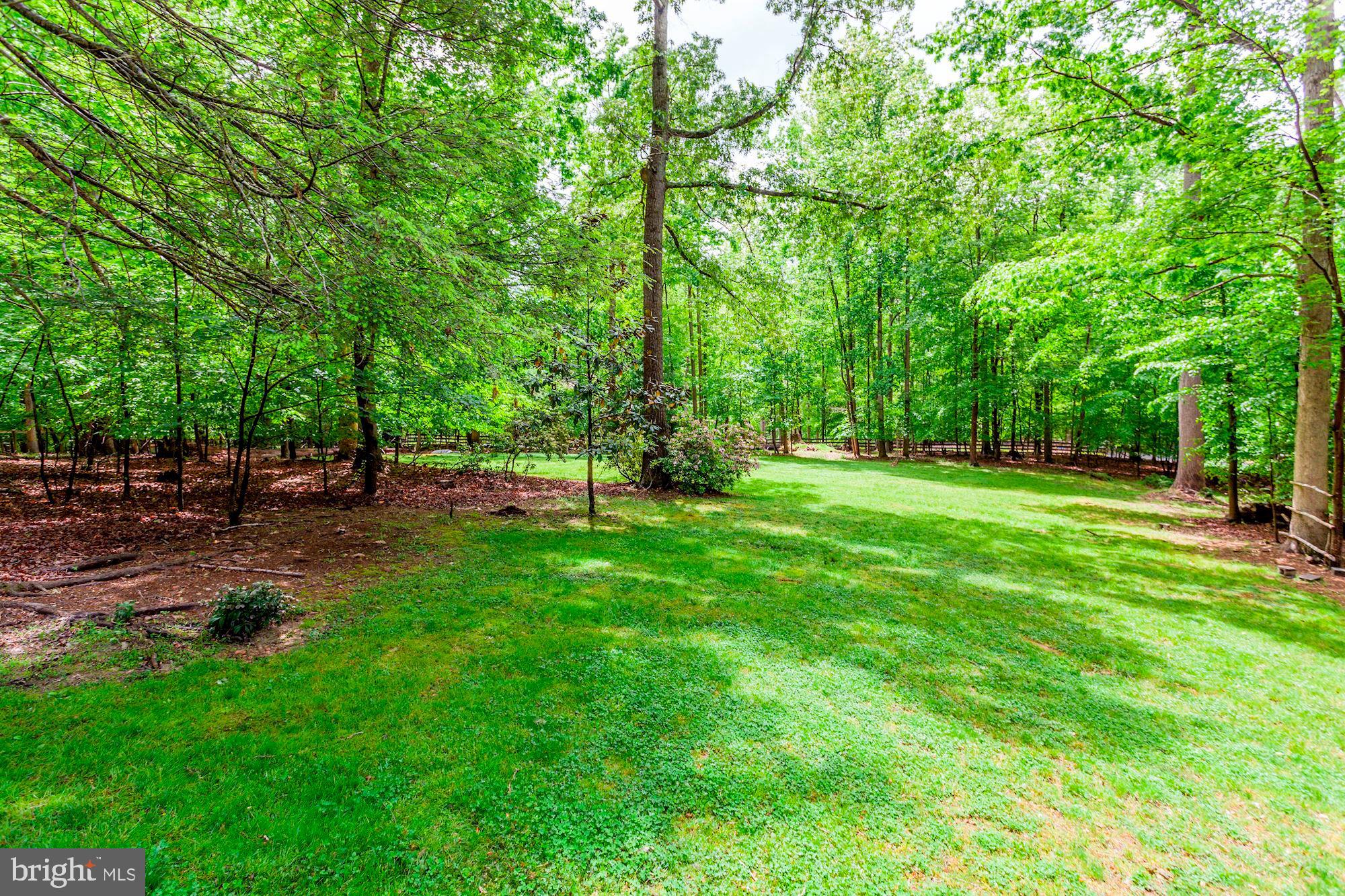 4841 Occoquan Overlook Woodbridge, VA 22192 - Photo 26 of 28 Over 2.6 acres of space!