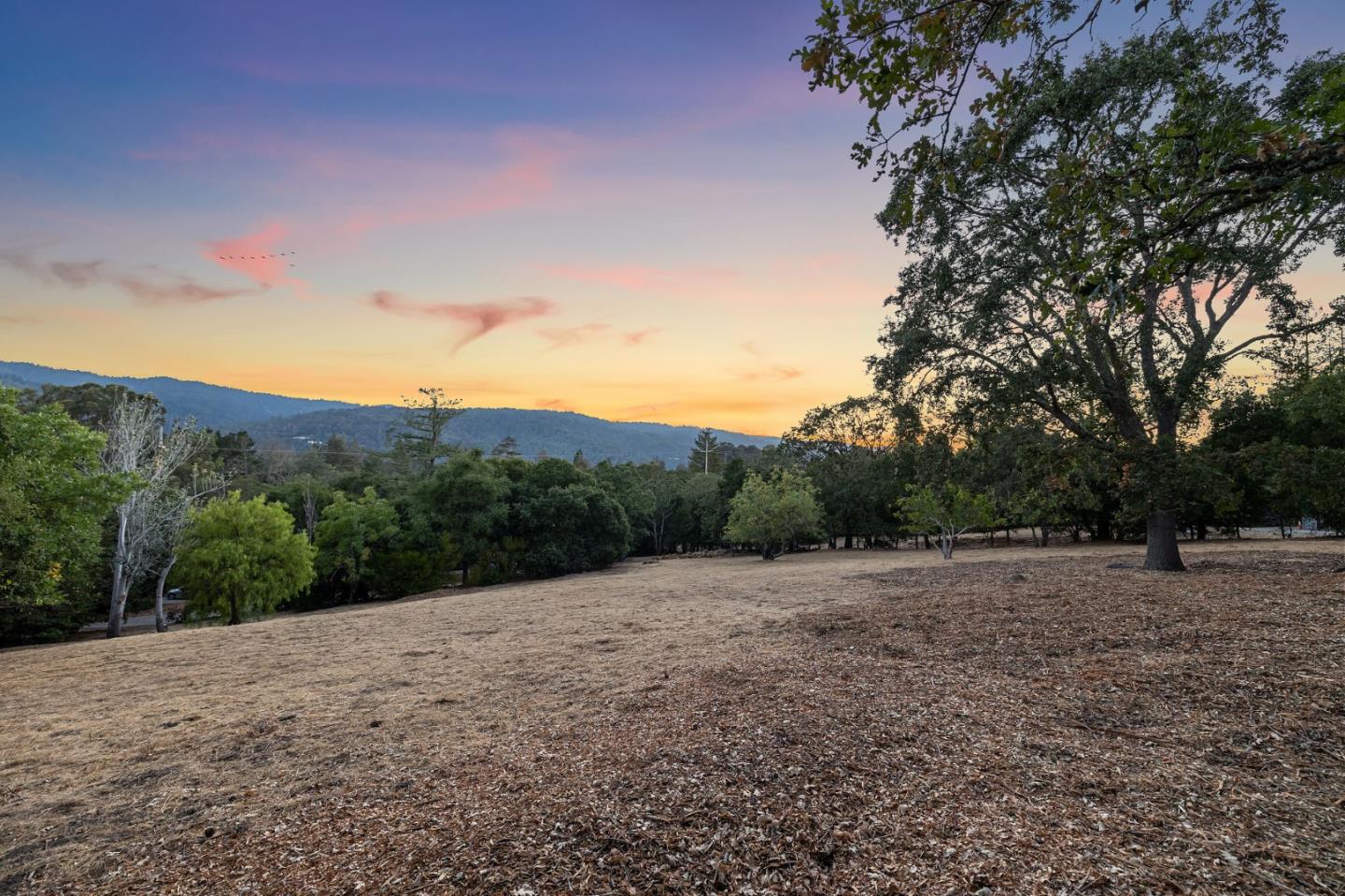 1585 Canada Lane Woodside, CA 94062 - Photo 2 of 46 a view of a field with trees in background
