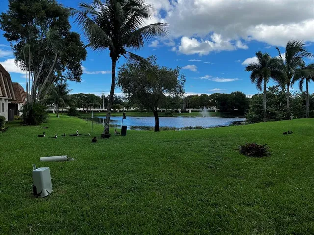 a view of a garden with a slide