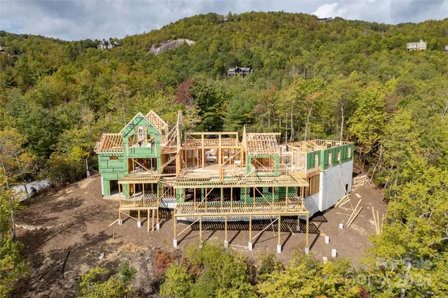 a view of a forest with mountains in the background