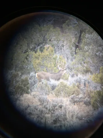 $625,000 | 15086-45 45 1/2 Road, De Beque, CO 81630