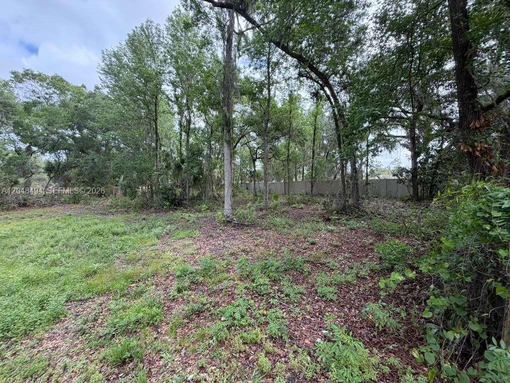 0 Bailey Road Mulberry, FL 33860 - Photo 4 of 4