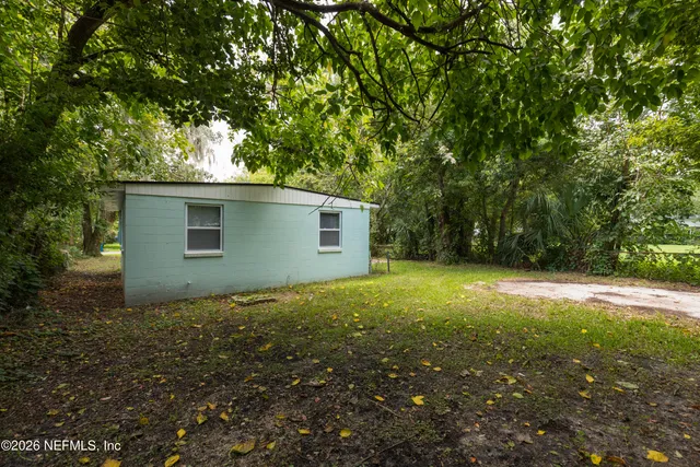 a view of a backyard with a large tree