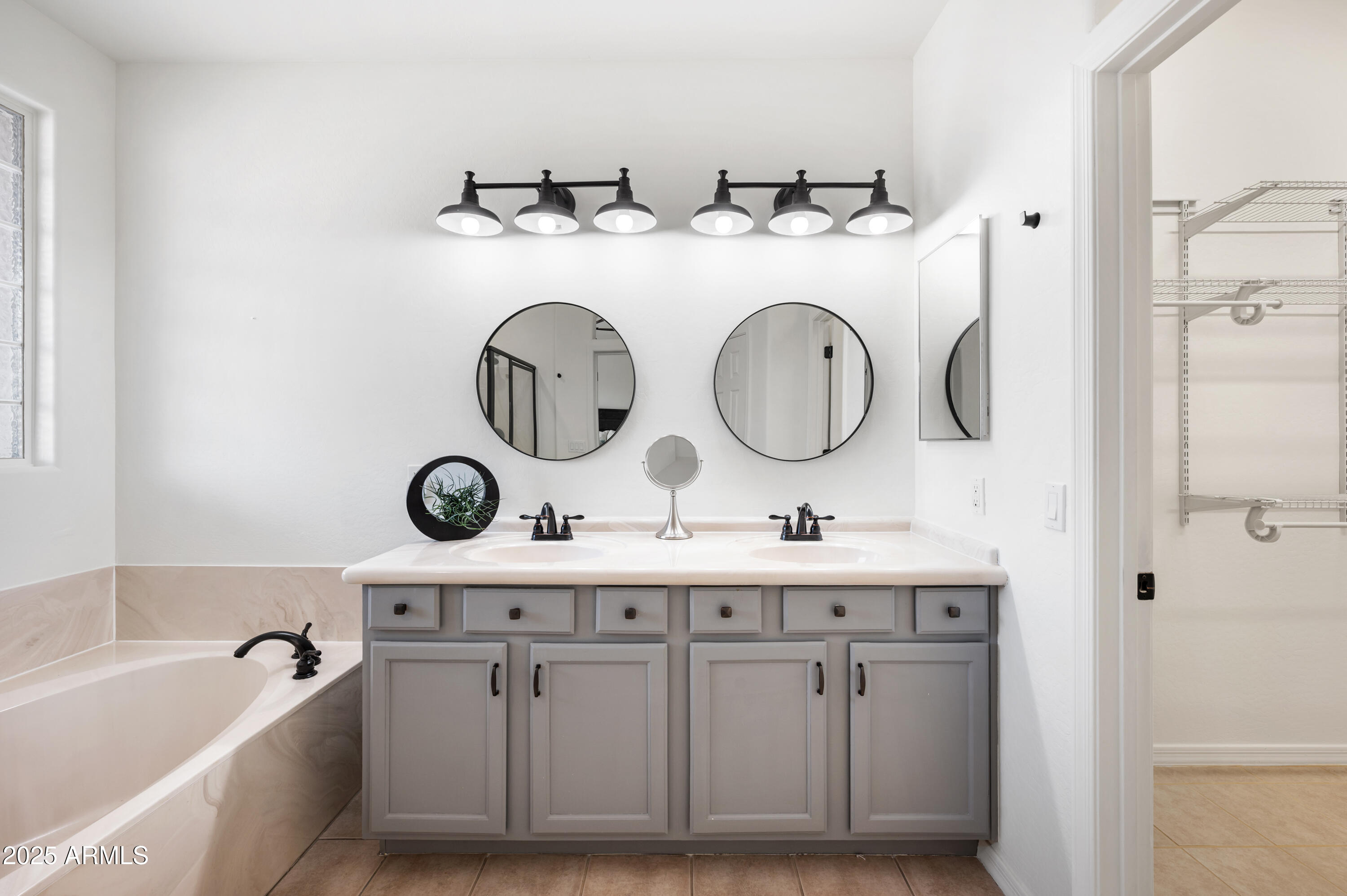 10172 East Dinosaur Ridge Road Gold Canyon, AZ 85118 - Photo 27 of 38 a bathroom with a double vanity sink mirror and bathtub