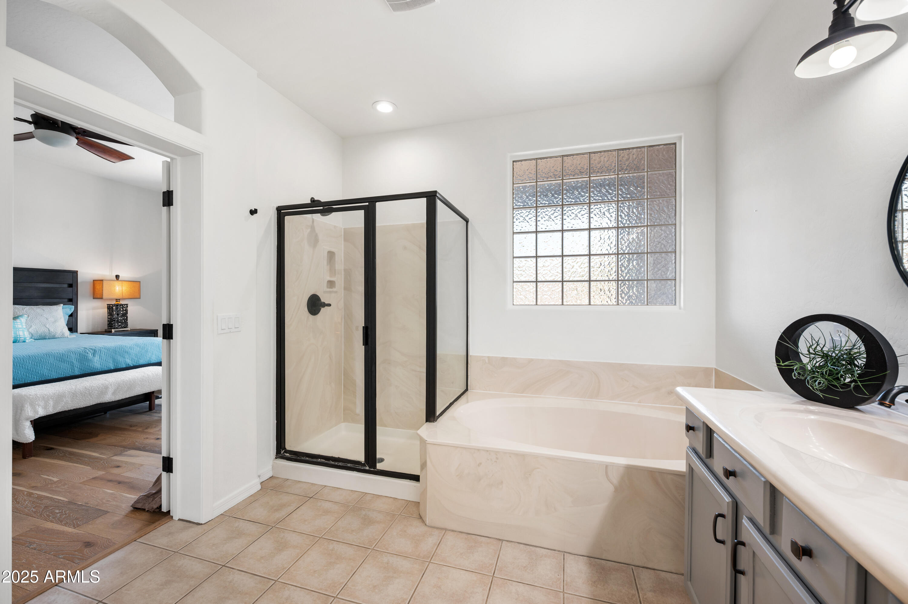 10172 East Dinosaur Ridge Road Gold Canyon, AZ 85118 - Photo 28 of 38 a view of a bathroom with bathtub and shower
