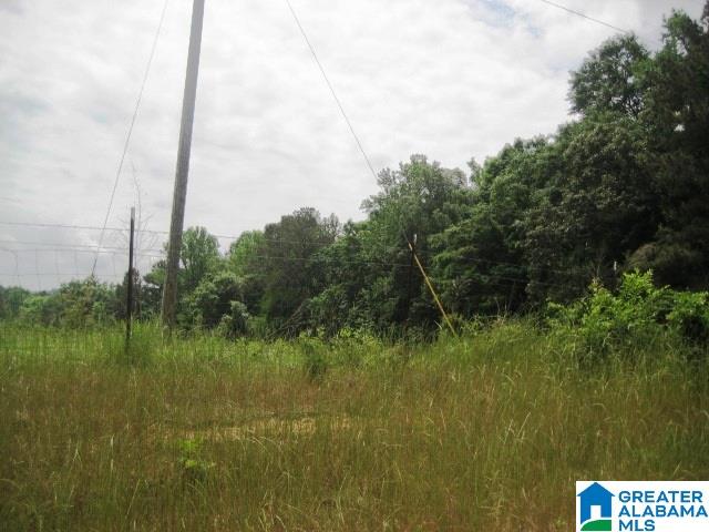 0 Sulphur Springs Road, Unit 10 ACRES Lincoln, AL 35096 - Photo 22 of 32