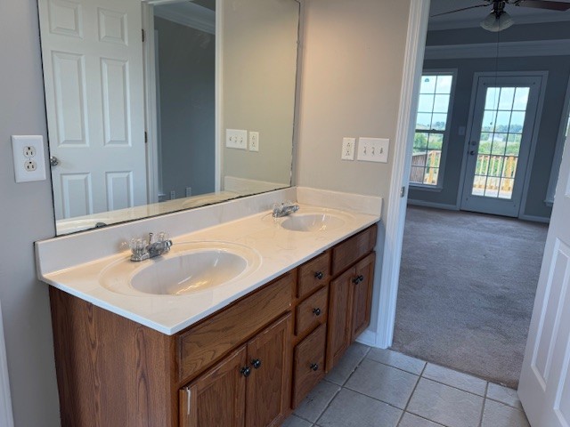 251 7 Mile Ferry Road Cunningham, TN 37052 - Photo 17 of 36 a bathroom with a sink and a mirror