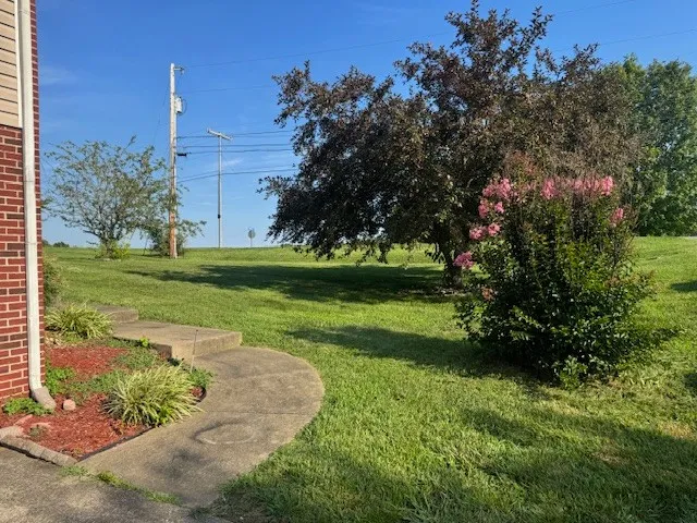 a view of a garden with a house in the background