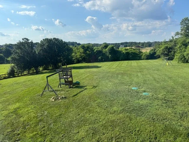 a garden with trees in the background