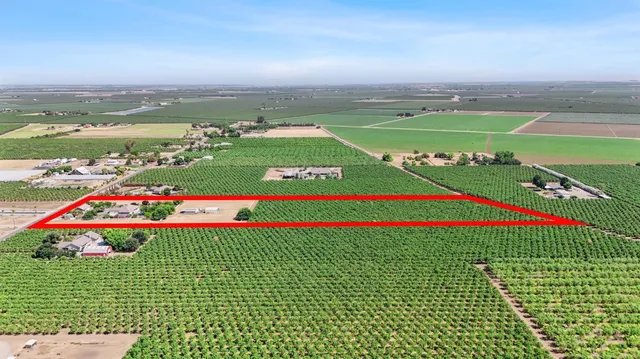 a view of a yard with potted plants