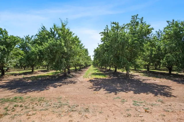 $1,575,000 | 18413 Sycamore Avenue, Patterson, CA 95363