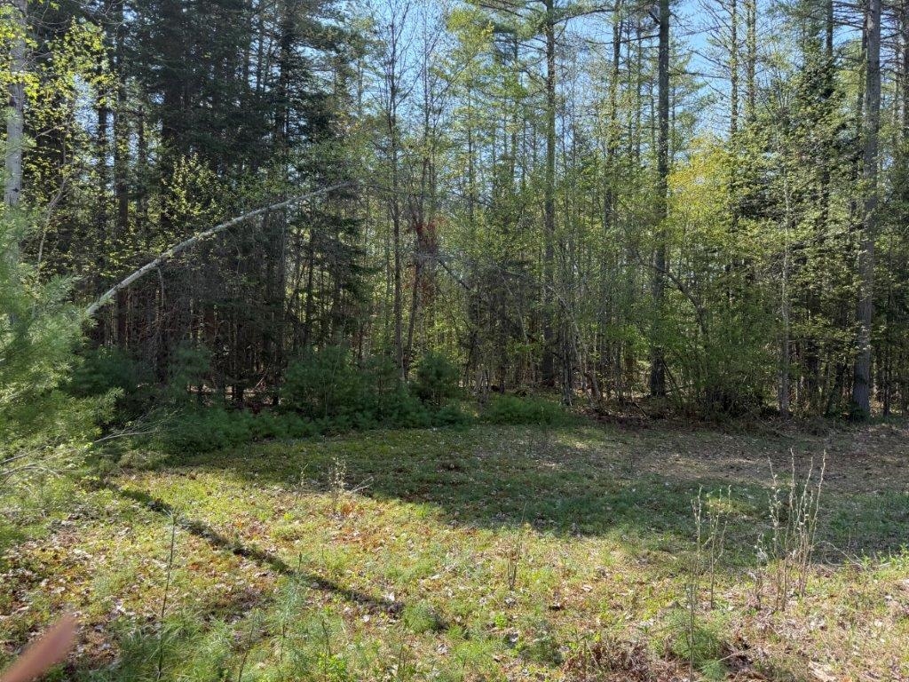 48 Spa Road Danbury, NH 03230 - Photo 28 of 38