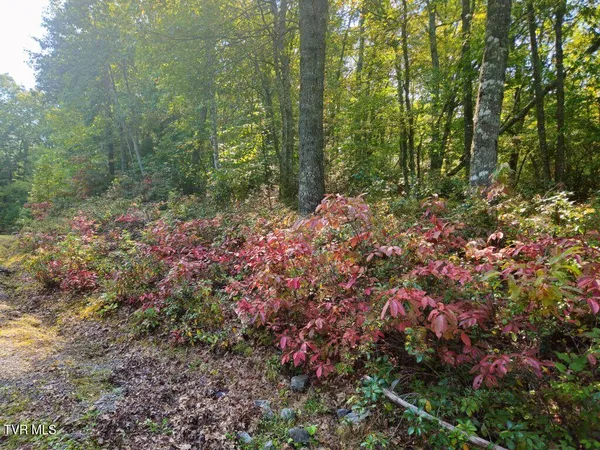 $24,500 | Lot 17 Fox Hollow Drive, Unit 17, Bastian, VA 24314