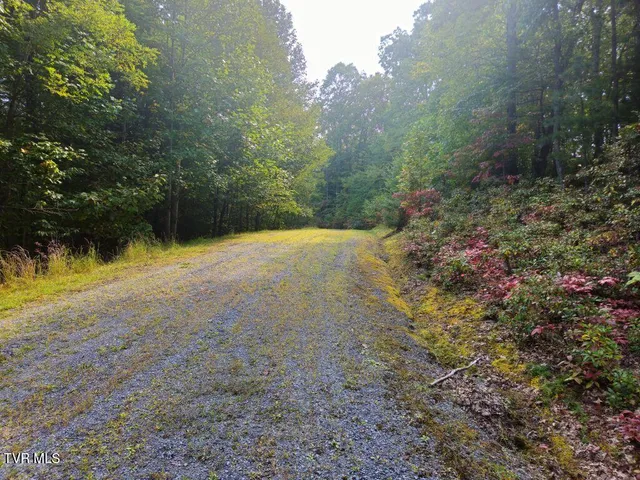 $24,500 | Lot 17 Fox Hollow Drive, Unit 17, Bastian, VA 24314