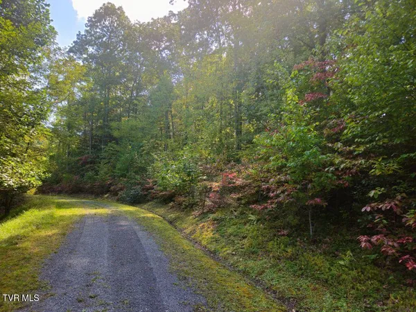 $24,500 | Lot 17 Fox Hollow Drive, Unit 17, Bastian, VA 24314