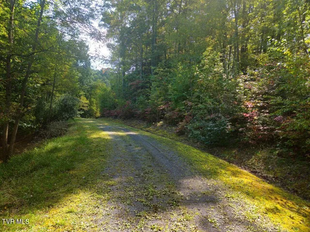 $24,500 | Lot 17 Fox Hollow Drive, Unit 17, Bastian, VA 24314