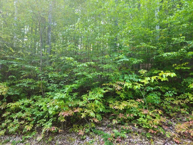 $24,500 | Lot 17 Fox Hollow Drive, Unit 17, Bastian, VA 24314