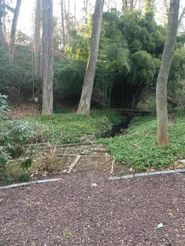 a view of a sink in a yard