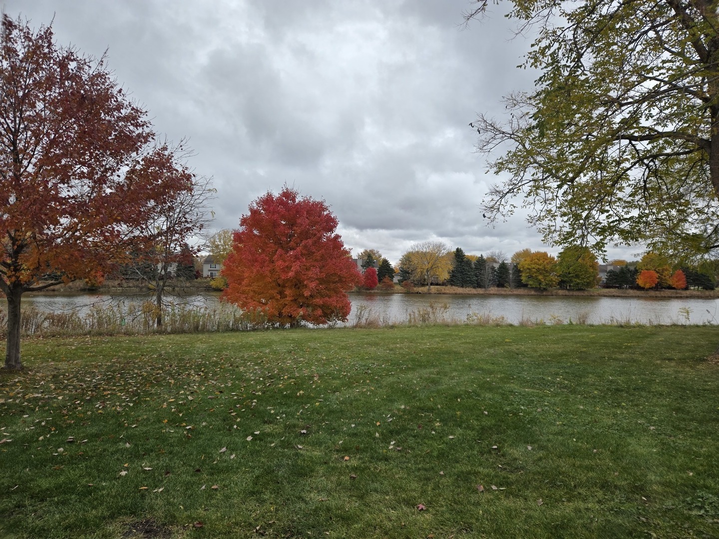 1513 Elder Drive Aurora, IL 60506 - Photo 26 of 26 a backyard of a house with lots of green space