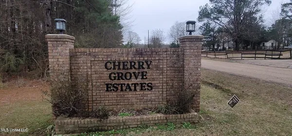 $34,999 | 0 Edward Owens Drive, Terry, MS 39170