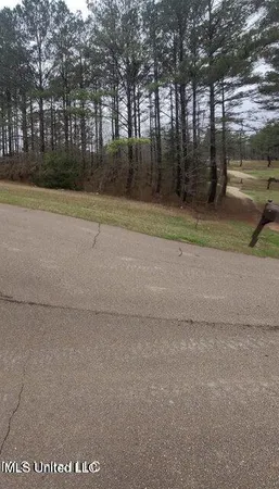 $34,999 | 0 Edward Owens Drive, Terry, MS 39170