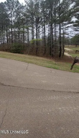 $34,999 | 0 Edward Owens Drive, Terry, MS 39170