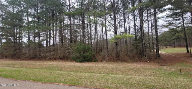 $34,999 | 0 Edward Owens Drive, Terry, MS 39170