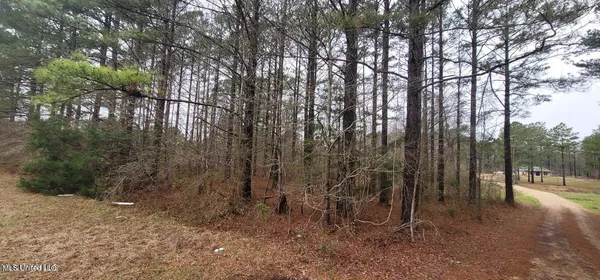 $34,999 | 0 Edward Owens Drive, Terry, MS 39170