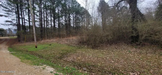 $34,999 | 0 Edward Owens Drive, Terry, MS 39170