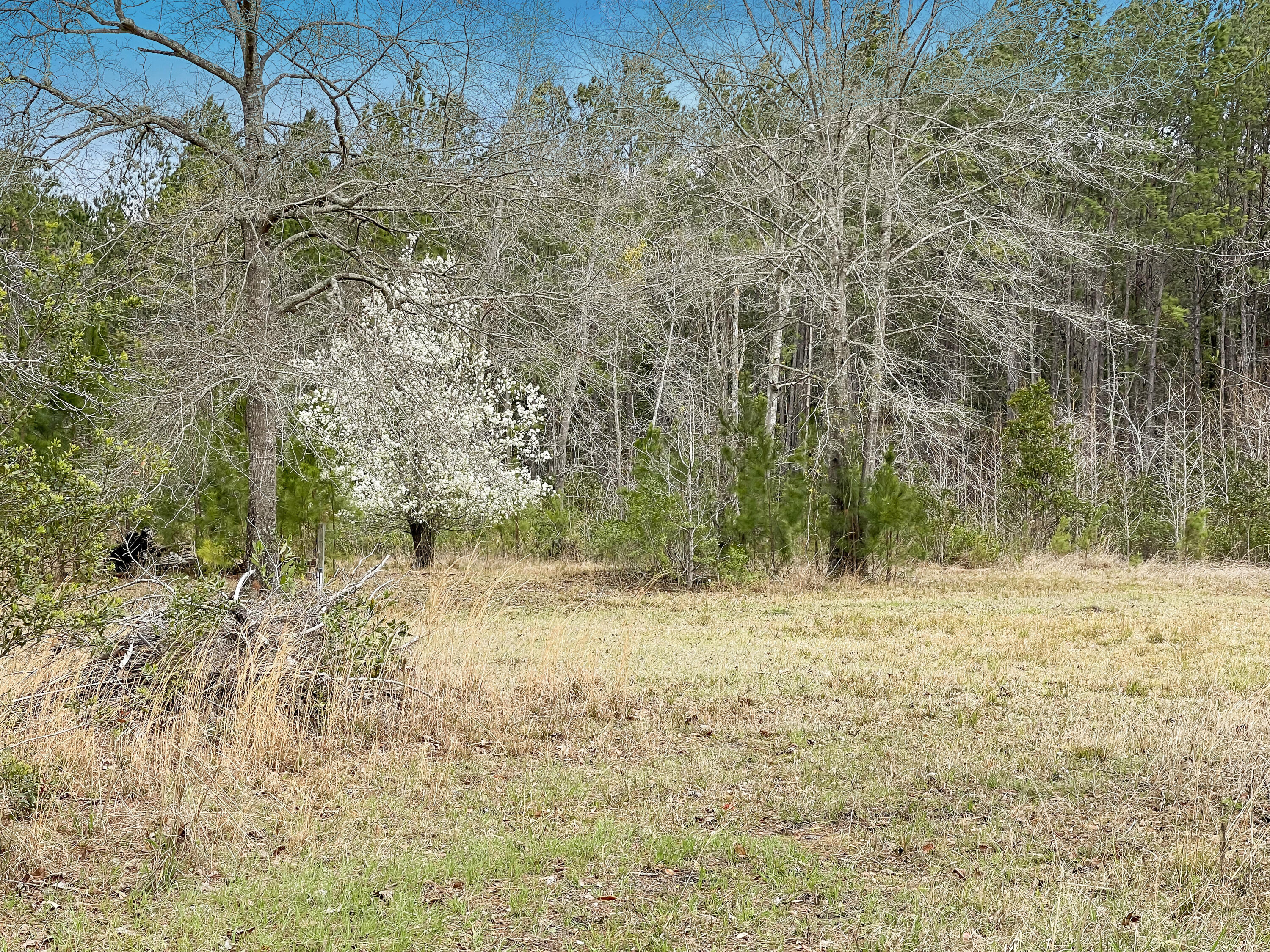 971 Addison Road Cottageville, SC 29435 - Photo 54 of 67 image00012