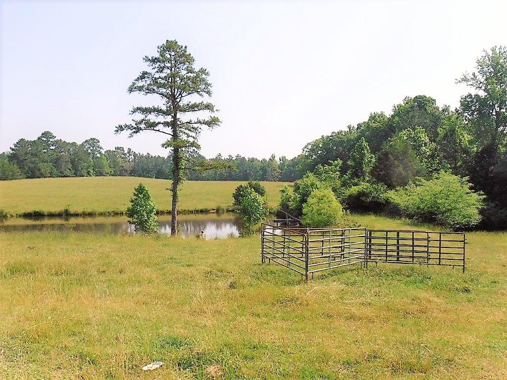 - Red Row Road McCormick, SC 29835 - Photo 4 of 7